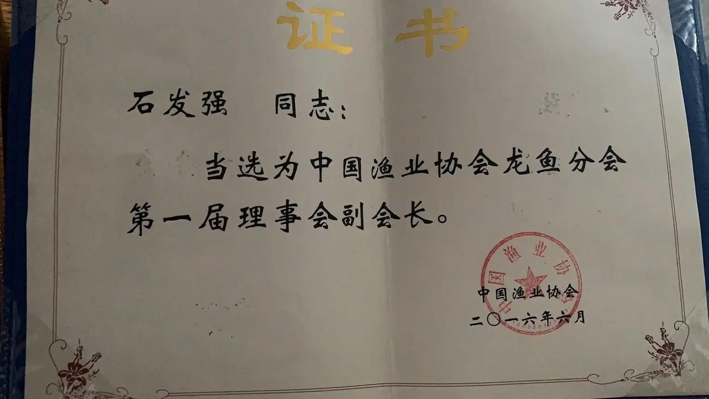 如何判斷一個龍魚品牌是否正規？，如何判斷一個龍魚品牌是否正規 如何判斷一個龍魚品牌是否正規？，如何判斷一個龍魚品牌是否正規 龍魚百科 第6張
