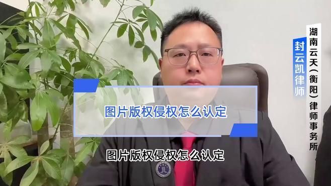 這些圖片是否涉及隱私或版權(quán)問(wèn)題？，圖片版權(quán)侵權(quán)怎么認(rèn)定 這些圖片是否涉及隱私或版權(quán)問(wèn)題？，圖片版權(quán)侵權(quán)怎么認(rèn)定 龍魚(yú)百科 第1張