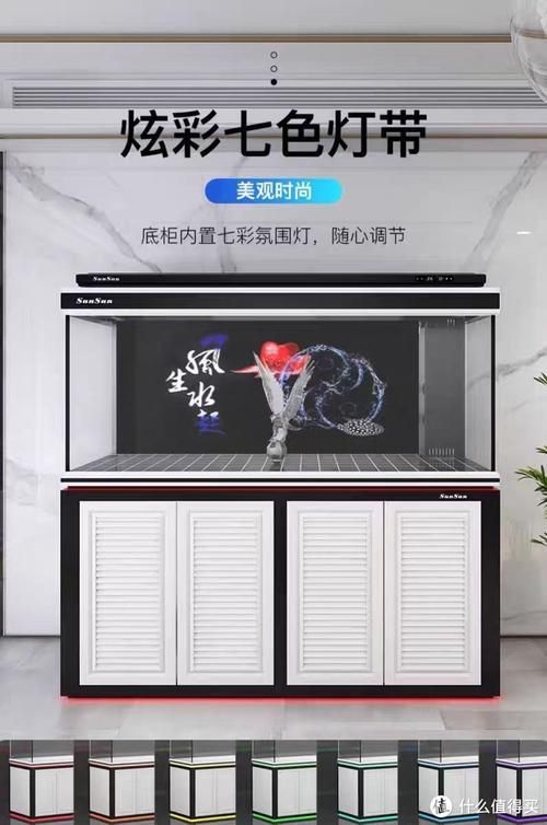 能推薦幾款性價比高的龍魚缸嗎？，如何選擇一款性價比高的龍魚缸 能推薦幾款性價比高的龍魚缸嗎？，如何選擇一款性價比高的龍魚缸 龍魚百科 第6張