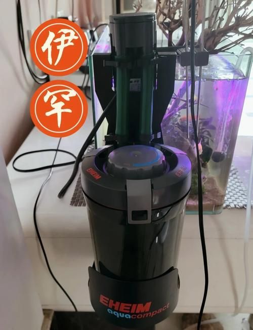 森森和伊罕哪個(gè)更耐用，森森和伊罕哪個(gè)更耐用，