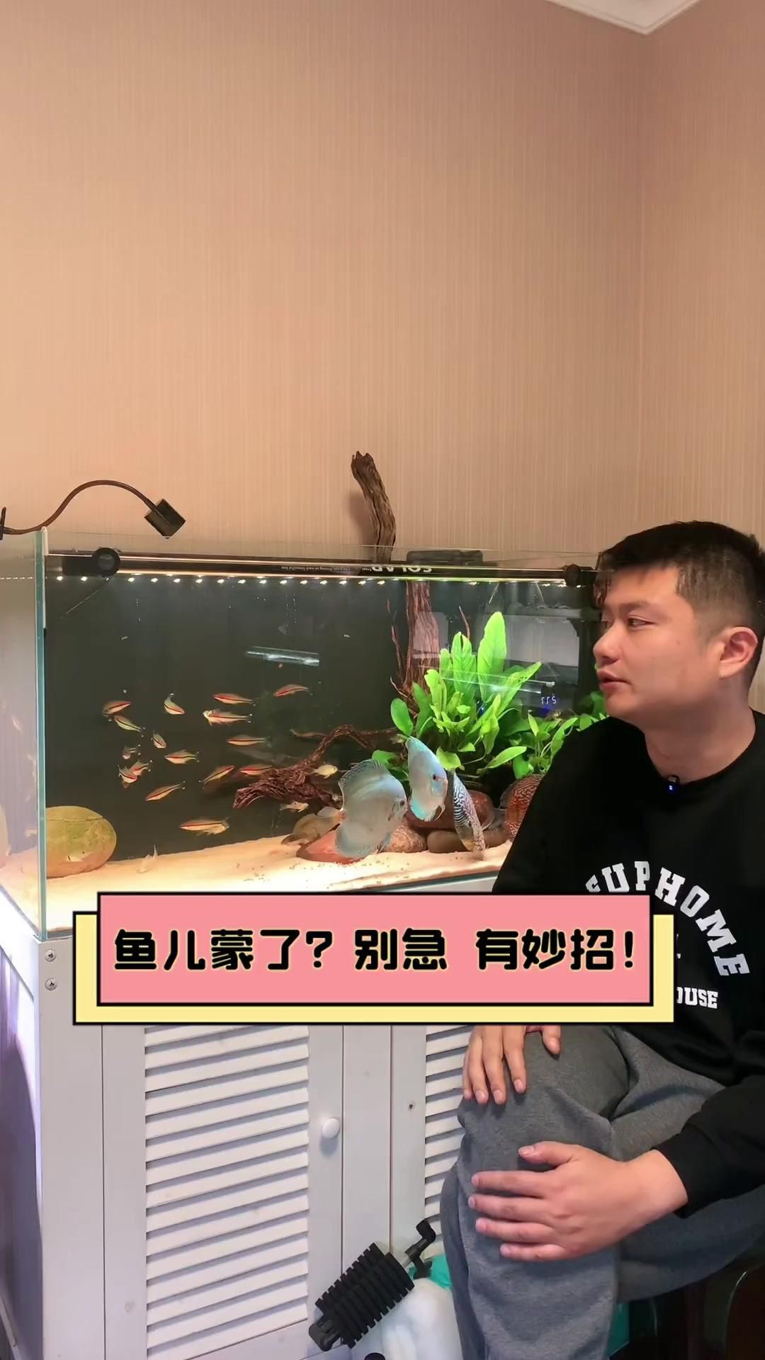 魚蒙眼病會自愈嗎 魚蒙眼病會自愈嗎 龍魚百科