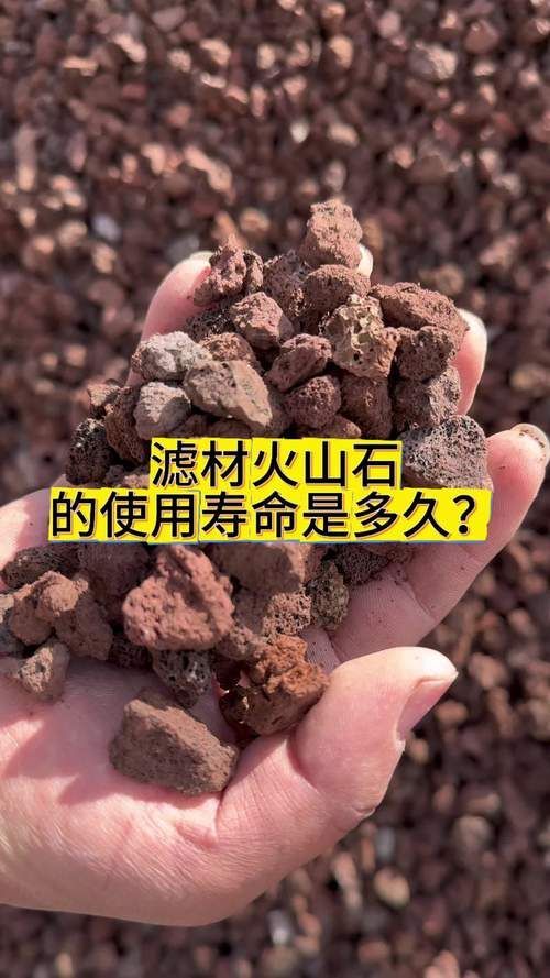 給我推薦幾款適合草缸的濾材，20種草缸濾材大揭秘