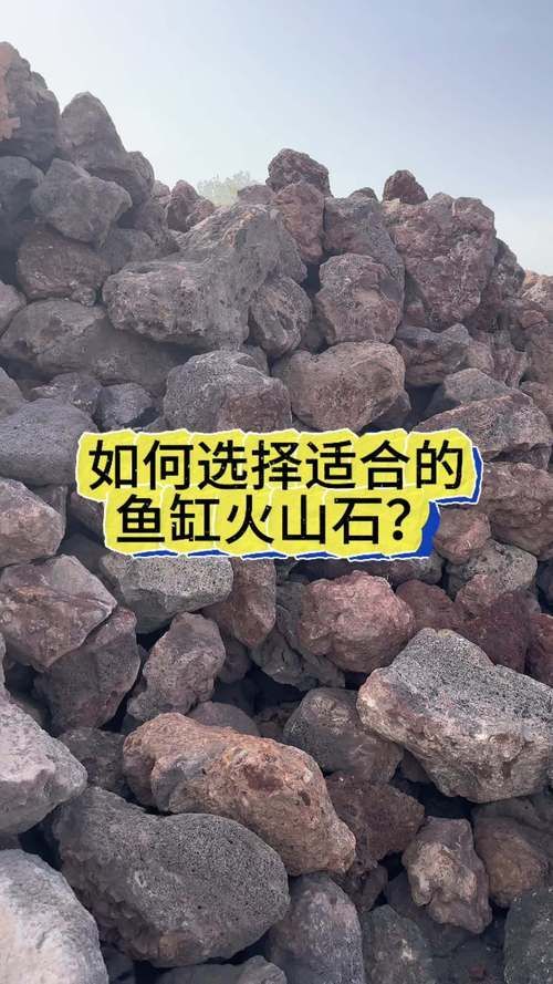 給我推薦幾款適合草缸的濾材，20種草缸濾材大揭秘