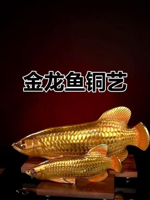 聚財(cái)龍魚(yú)擺件有哪些材質(zhì)選擇，禮之源全銅風(fēng)水金龍魚(yú)擺件 聚財(cái)龍魚(yú)擺件有哪些材質(zhì)選擇，禮之源全銅風(fēng)水金龍魚(yú)擺件 龍魚(yú)百科 第2張