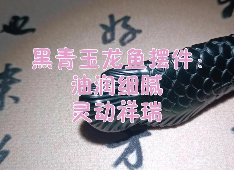 聚財(cái)龍魚(yú)擺件有哪些材質(zhì)選擇，禮之源全銅風(fēng)水金龍魚(yú)擺件 聚財(cái)龍魚(yú)擺件有哪些材質(zhì)選擇，禮之源全銅風(fēng)水金龍魚(yú)擺件 龍魚(yú)百科 第10張