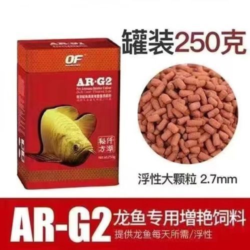 如何預防白子黃化銀龍魚疾病？，如何預防白子黃化銀龍魚疾病 如何預防白子黃化銀龍魚疾病？，如何預防白子黃化銀龍魚疾病 龍魚百科 第5張