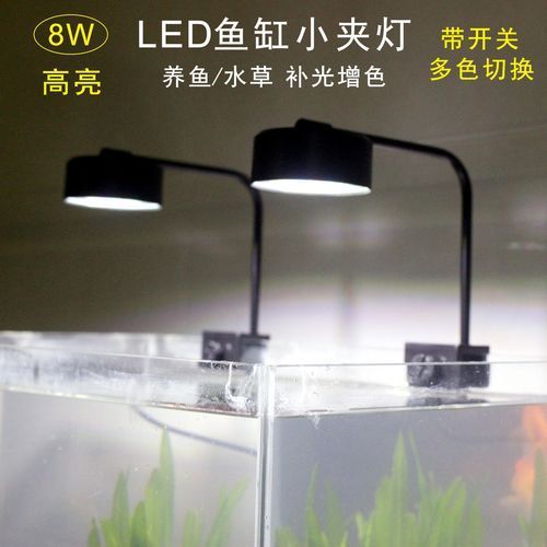 如何根據魚缸形狀選擇魚缸燈，魚缸燈的選擇對于營造一個理想的水族箱環境至關重要 如何根據魚缸形狀選擇魚缸燈，魚缸燈的選擇對于營造一個理想的水族箱環境至關重要 龍魚百科 第7張