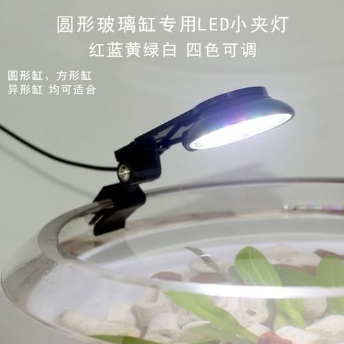 如何根據魚缸形狀選擇魚缸燈，魚缸燈的選擇對于營造一個理想的水族箱環境至關重要 如何根據魚缸形狀選擇魚缸燈，魚缸燈的選擇對于營造一個理想的水族箱環境至關重要 龍魚百科 第8張