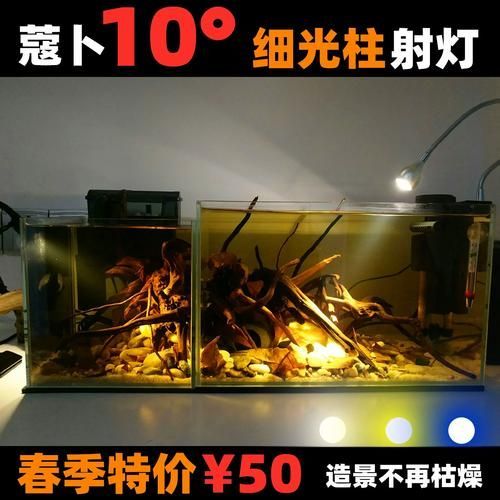 如何根據魚缸形狀選擇魚缸燈，魚缸燈的選擇對于營造一個理想的水族箱環境至關重要 如何根據魚缸形狀選擇魚缸燈，魚缸燈的選擇對于營造一個理想的水族箱環境至關重要 龍魚百科 第18張