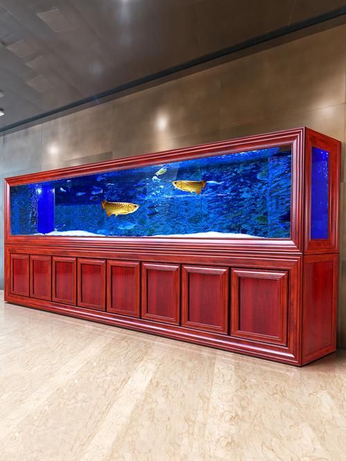 祥龍魚場(chǎng)有哪些龍魚缸款式？ 祥龍魚場(chǎng)有哪些龍魚缸款式？ 龍魚百科 第4張