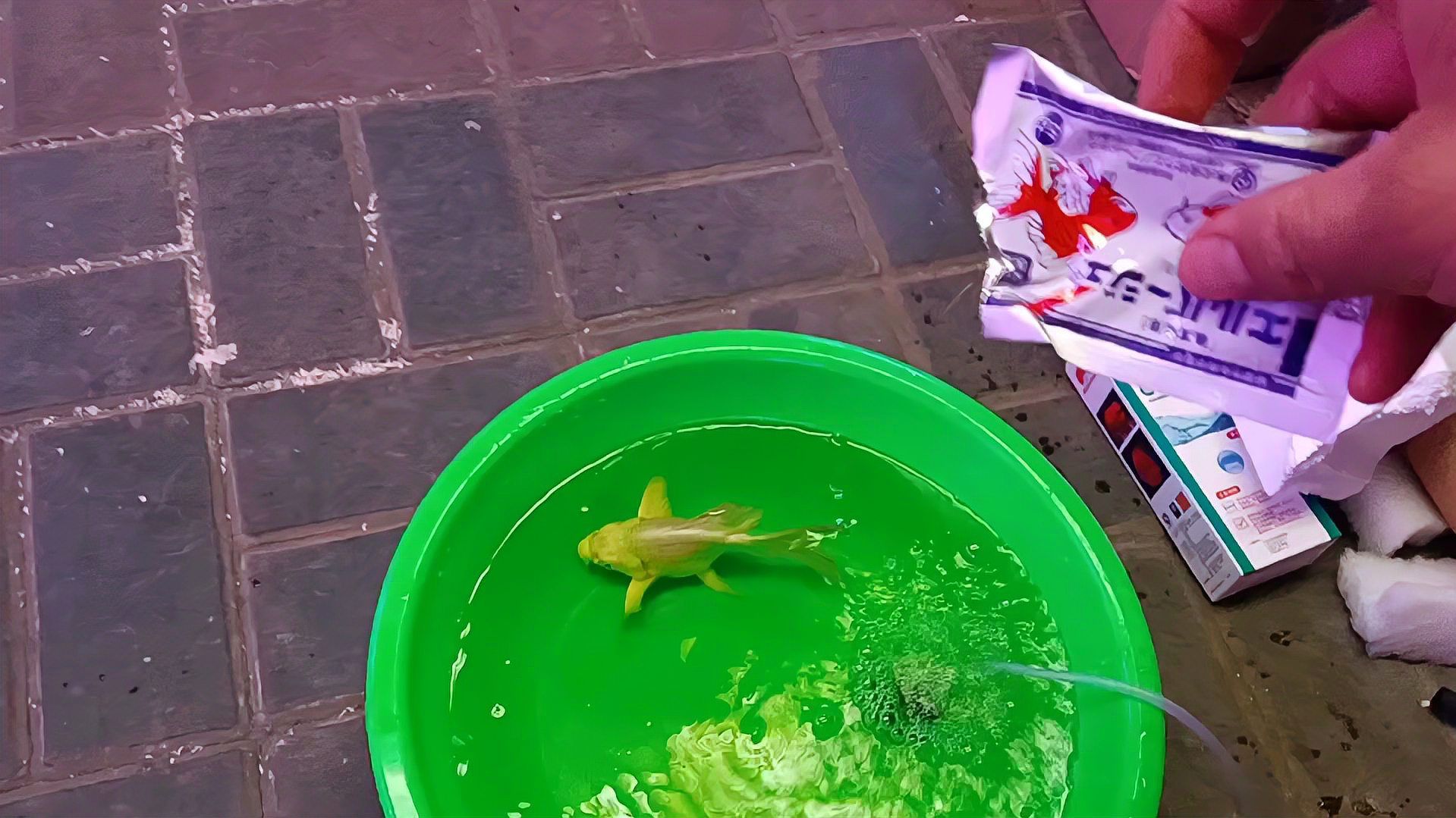 哪些魚藥是安全的？，——安全魚藥安全魚藥實物圖、劑量對照表