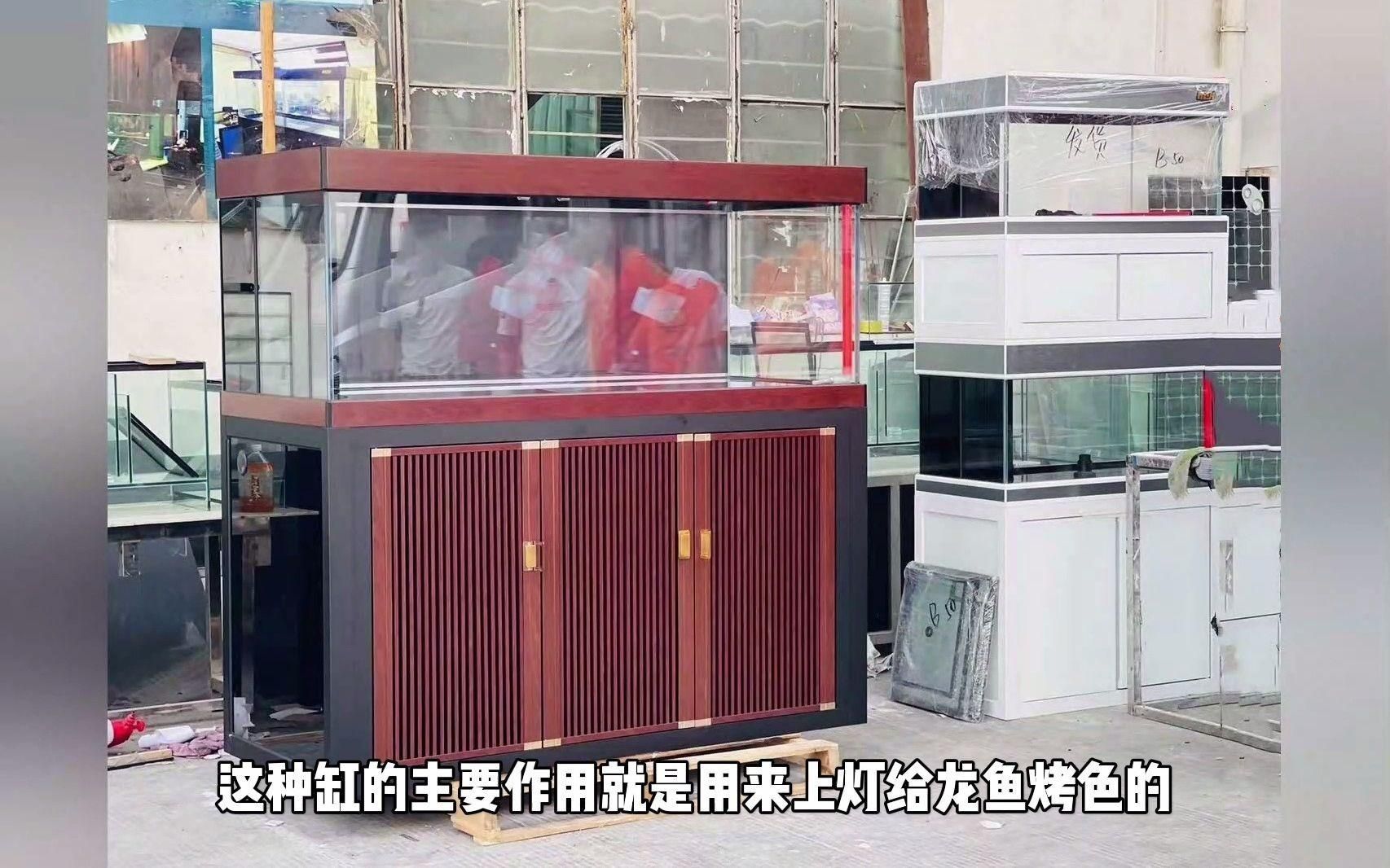 龍魚魚缸寬度為何重要？，龍魚魚缸寬度對養殖龍魚至關重要 龍魚魚缸寬度為何重要？，龍魚魚缸寬度對養殖龍魚至關重要 龍魚百科 第3張
