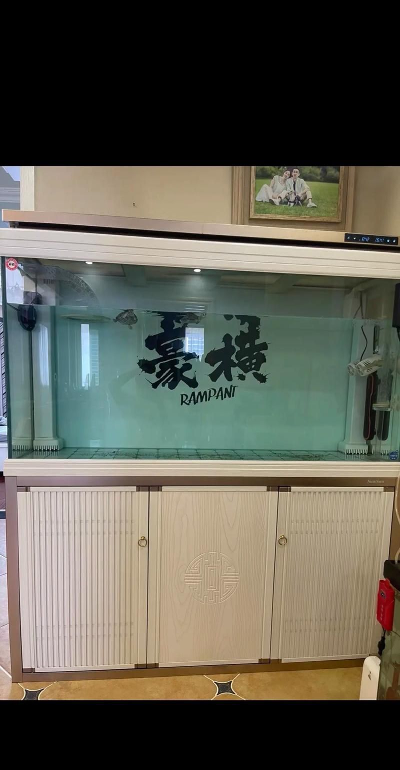 有哪些品牌推薦150cm魚缸？，哪些品牌推薦150cm魚缸？