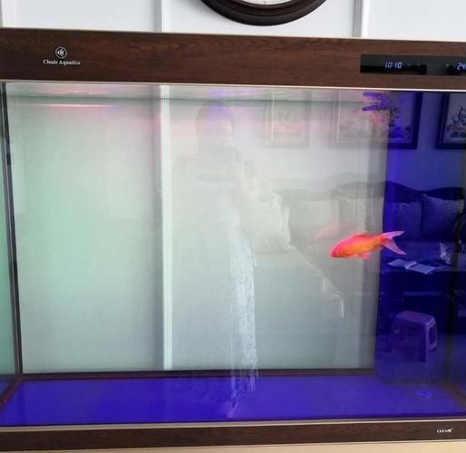 有哪些品牌推薦150cm魚缸？，哪些品牌推薦150cm魚缸？