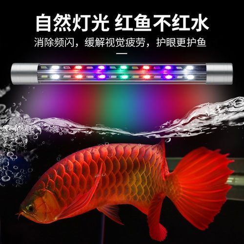 給幾款適合龍魚的光照設(shè)備圖片,幾款適合龍魚的專業(yè)光照設(shè)備 龍魚百科 第2張 給幾款適合龍魚的光照設(shè)備圖片,幾款適合龍魚的專業(yè)光照設(shè)備 給幾款適合龍魚的光照設(shè)備圖片,幾款適合龍魚的專業(yè)光照設(shè)備 龍魚百科 第2張