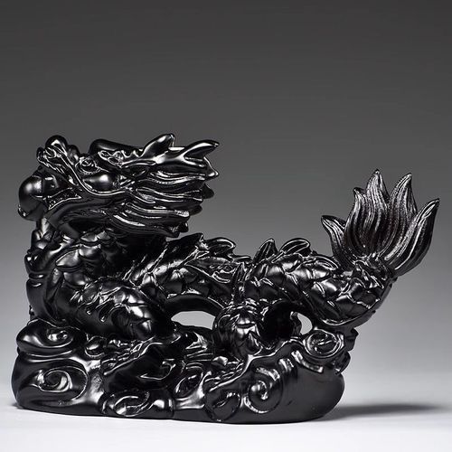 能否提供一張黑色龍的圖片，紅龍品牌有哪些熱門型號紅龍品牌的性價比產品推薦 能否提供一張黑色龍的圖片，紅龍品牌有哪些熱門型號紅龍品牌的性價比產品推薦 龍魚百科 第8張