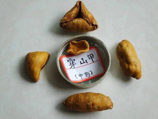 有哪些成功的動(dòng)物保護(hù)梗案例，動(dòng)物保護(hù)梗案例調(diào)用arxiv論文助手