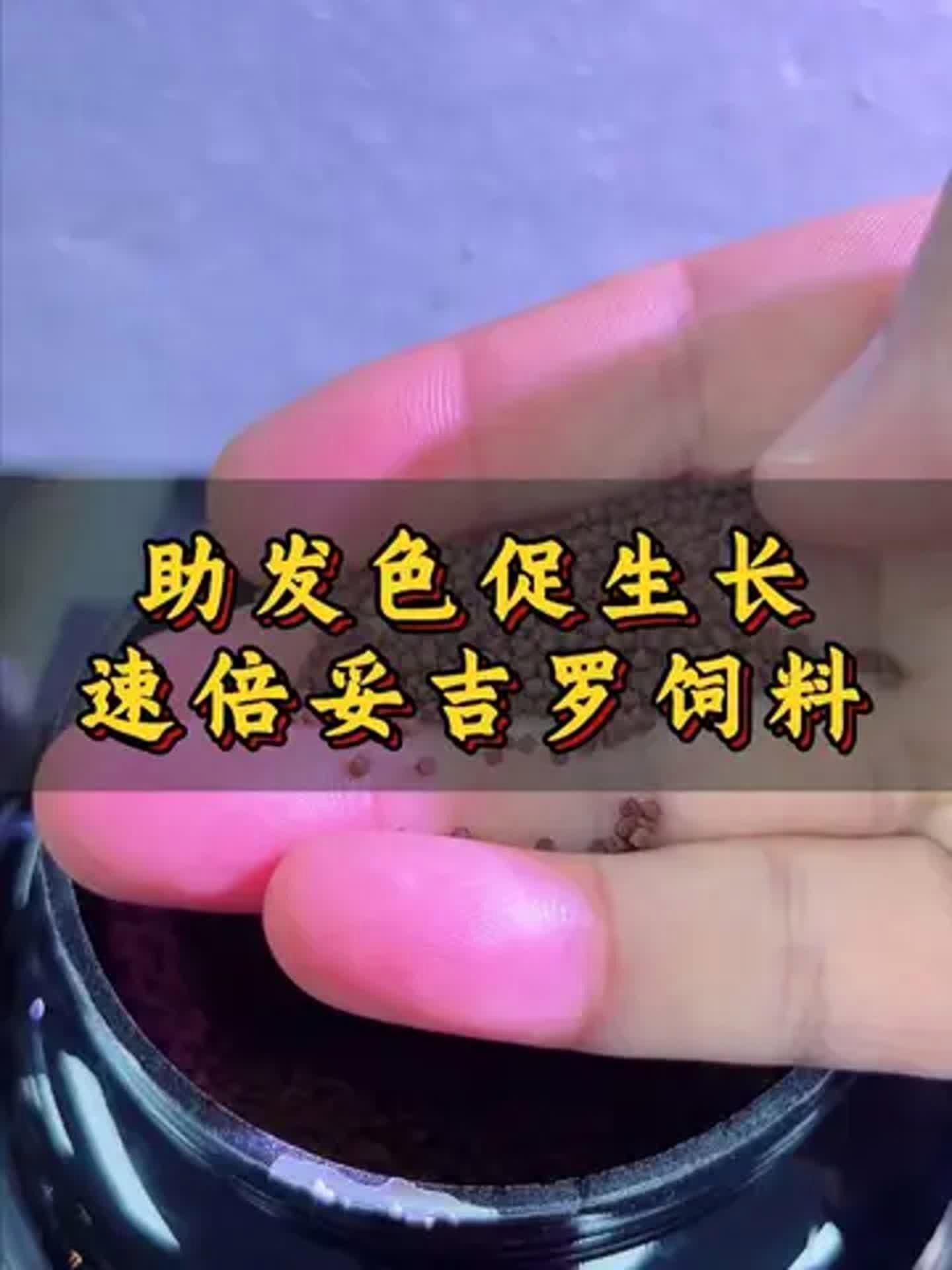速倍妥飼料哪個(gè)型號最好？，速倍妥各型號對照表，幫你快速選對適合你家魚種的飼料？
