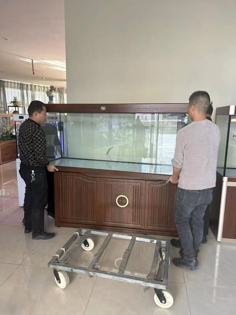 愛唯希魚缸有哪些熱門款式？，愛唯希魚缸有哪些熱門款式 愛唯希魚缸有哪些熱門款式？，愛唯希魚缸有哪些熱門款式 龍魚百科 第4張