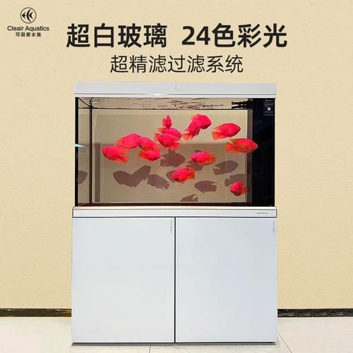 彩鰈、久鼎、可麗愛哪個品牌最好？，彩鰈,久鼎,可麗愛哪個品牌最好? 彩鰈、久鼎、可麗愛哪個品牌最好？，彩鰈,久鼎,可麗愛哪個品牌最好? 龍魚百科 第9張