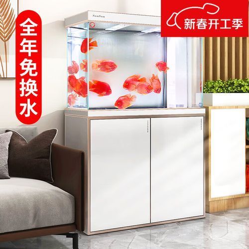 給我推薦幾款適合過背金龍的魚缸，過背金龍魚缸怎么選 給我推薦幾款適合過背金龍的魚缸，過背金龍魚缸怎么選 龍魚百科 第1張