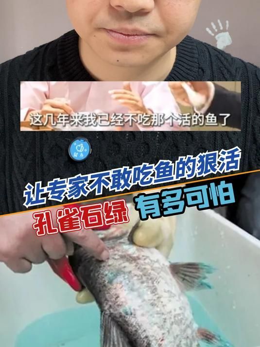 孔雀石綠為何會被禁用，孔雀石綠是一種被禁用的化合物其禁用原因與健康風險有關 孔雀石綠為何會被禁用，孔雀石綠是一種被禁用的化合物其禁用原因與健康風險有關 龍魚百科 第3張