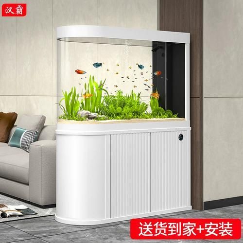 給我推薦幾個(gè)高端龍魚缸品牌，高端龍魚缸品牌推薦 給我推薦幾個(gè)高端龍魚缸品牌，高端龍魚缸品牌推薦 龍魚百科 第12張