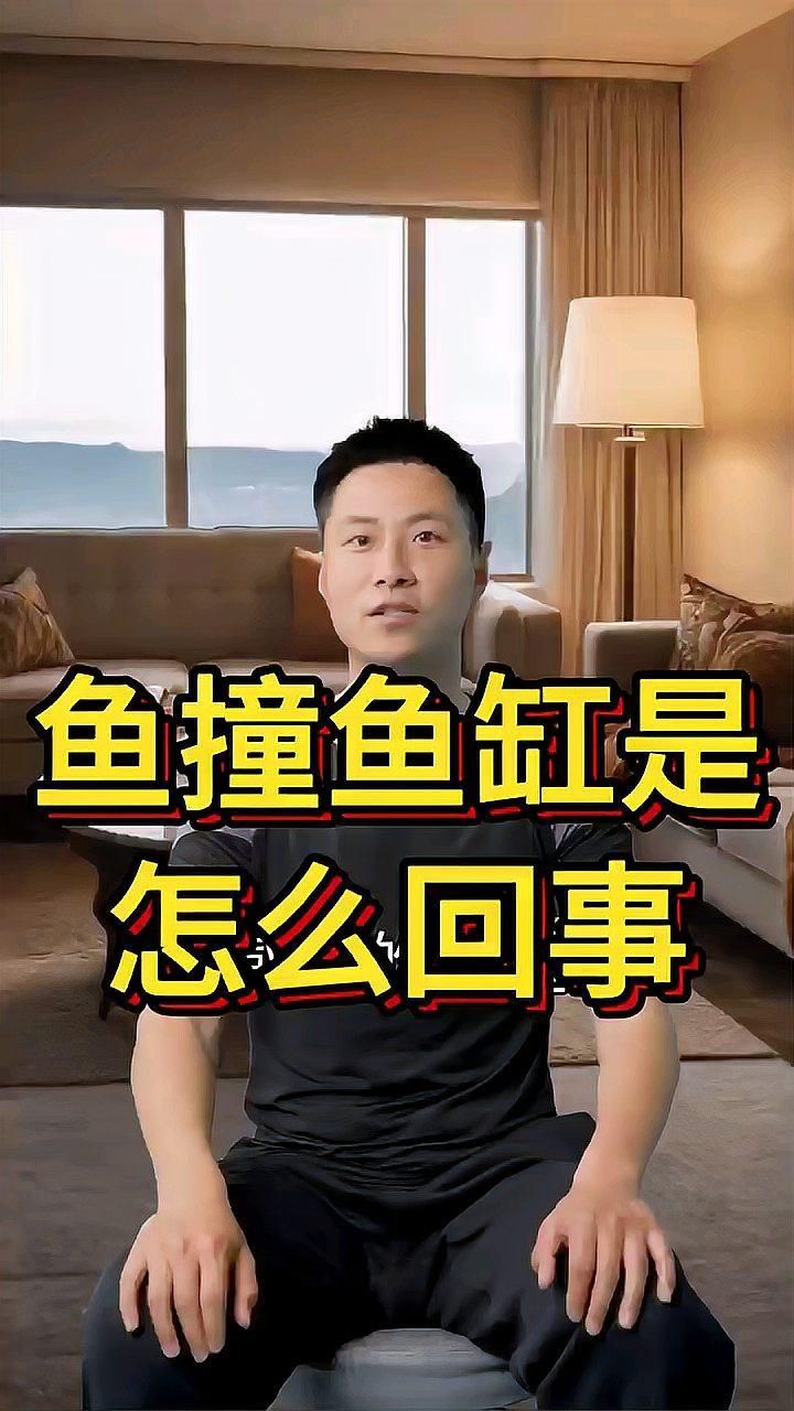 有哪些魚適合改善魚撞缸問題，有哪些魚適合改善魚撞缸問題,觀賞魚撞缸是一個常見但值得重視的問題 有哪些魚適合改善魚撞缸問題，有哪些魚適合改善魚撞缸問題,觀賞魚撞缸是一個常見但值得重視的問題 龍魚百科