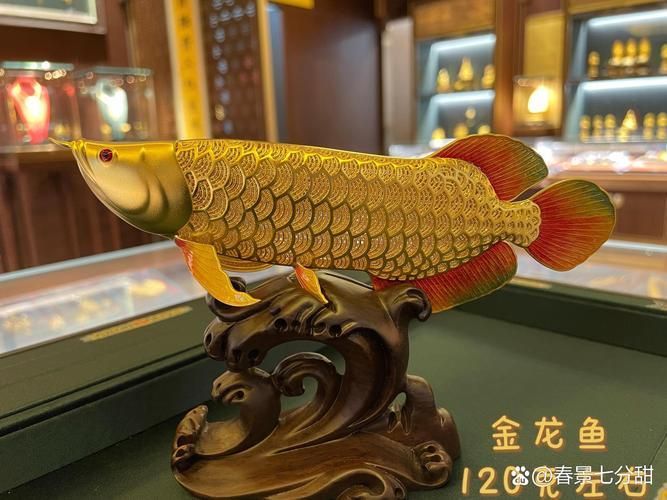 給我一些風(fēng)水龍魚的圖片，風(fēng)水魚之王——風(fēng)水龍魚 給我一些風(fēng)水龍魚的圖片，風(fēng)水魚之王——風(fēng)水龍魚 龍魚百科 第8張