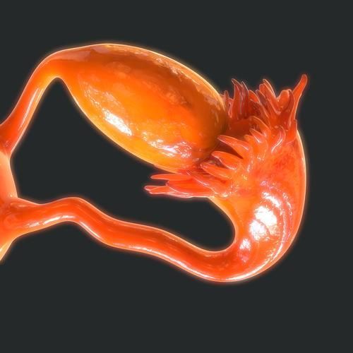 如何判斷魚是否感染黑色霉斑，arxiv論文助手arxiv論文助手判斷魚是否感染黑色霉斑