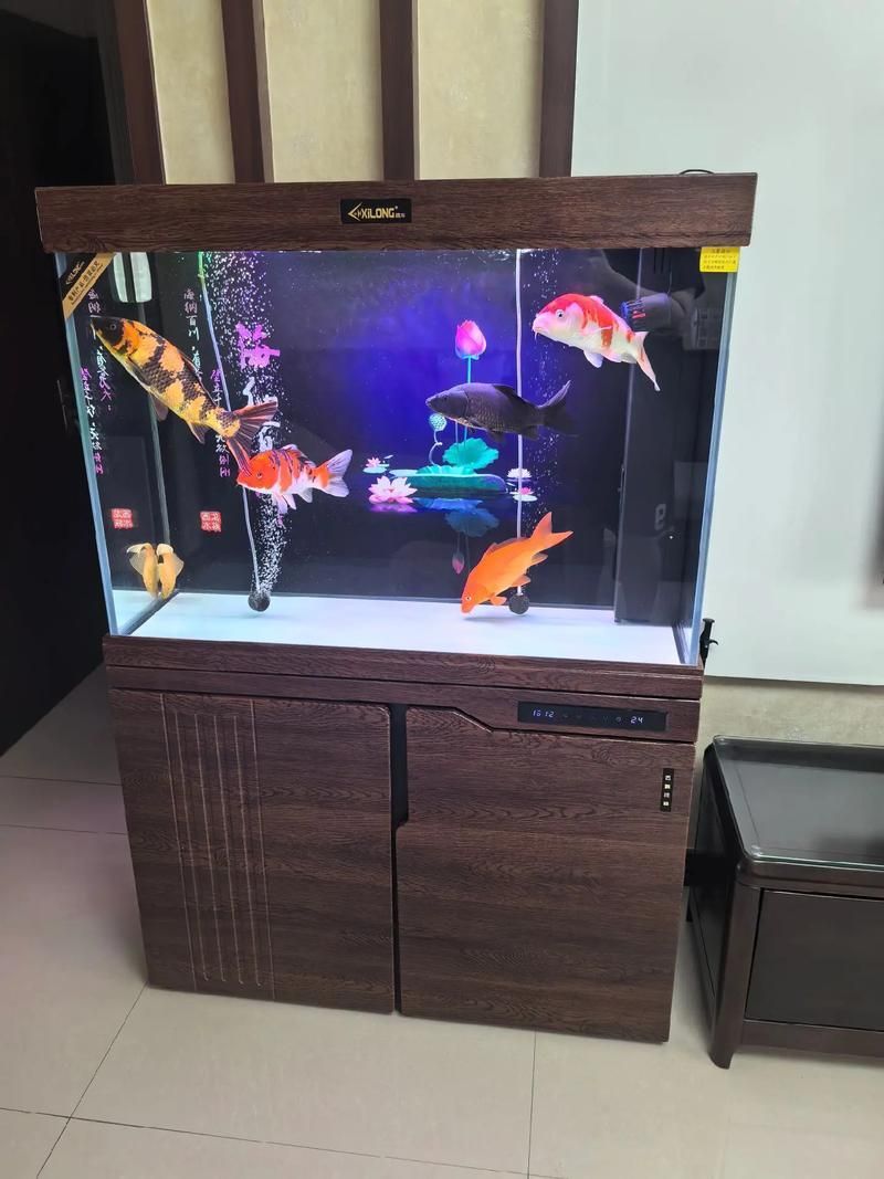 祥龍魚缸的用戶評價如何，關于祥龍魚缸用戶評價 祥龍魚缸的用戶評價如何，關于祥龍魚缸用戶評價 龍魚百科 第4張