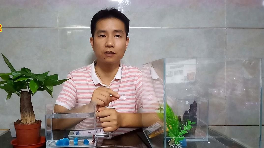 如何判斷魚缸是否消毒干凈，如何判斷魚缸是否消毒干凈，三個(gè)維度詳解如何確認(rèn)魚缸已徹底消毒
