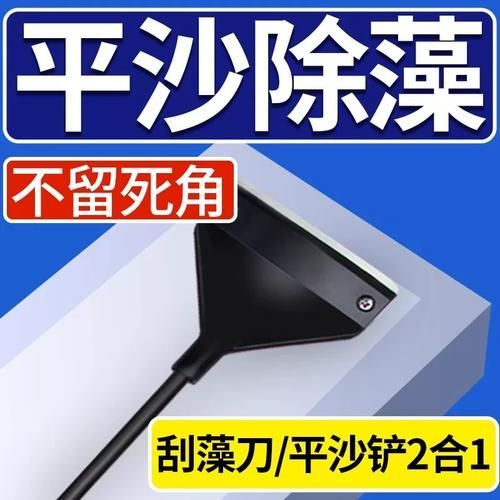 如何科學清洗魚缸，科學清洗魚缸的方法 如何科學清洗魚缸，科學清洗魚缸的方法 龍魚百科 第6張