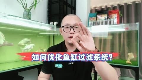 如何配置強大的過濾系統，diy魚缸過濾系統
