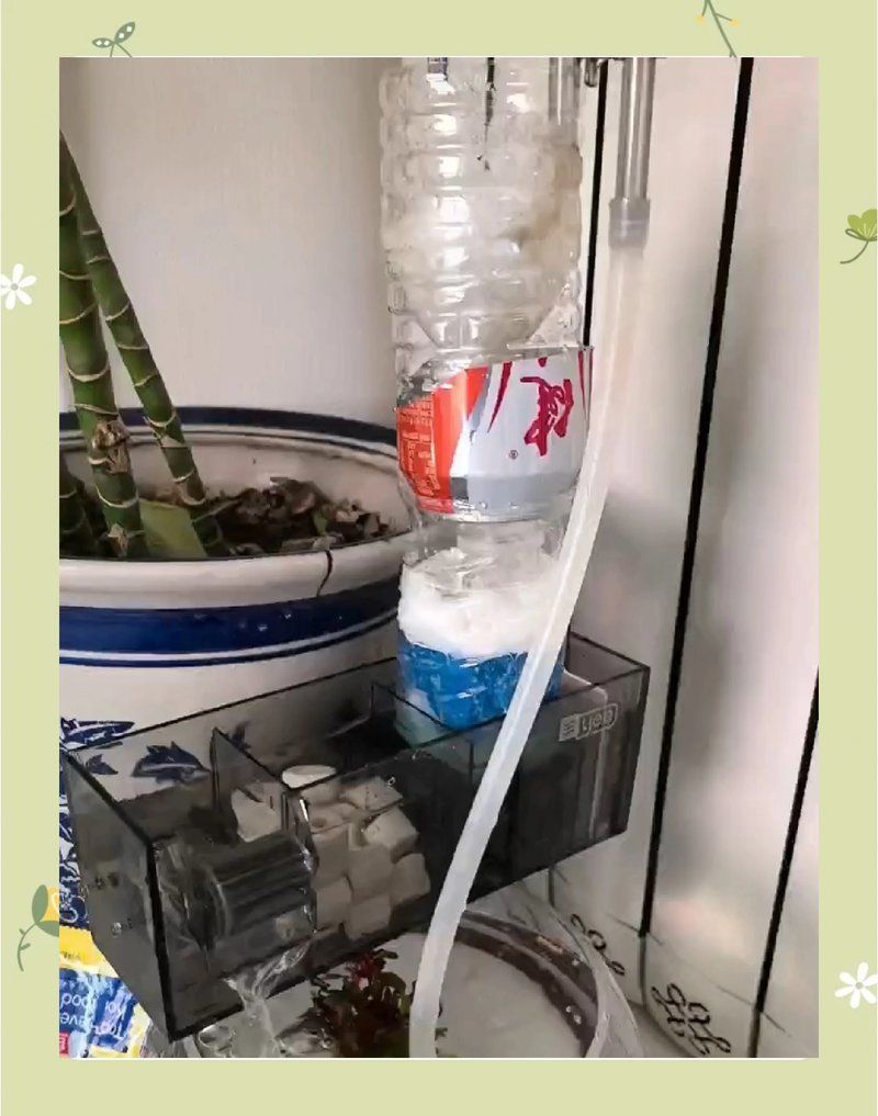 如何配置強大的過濾系統，diy魚缸過濾系統