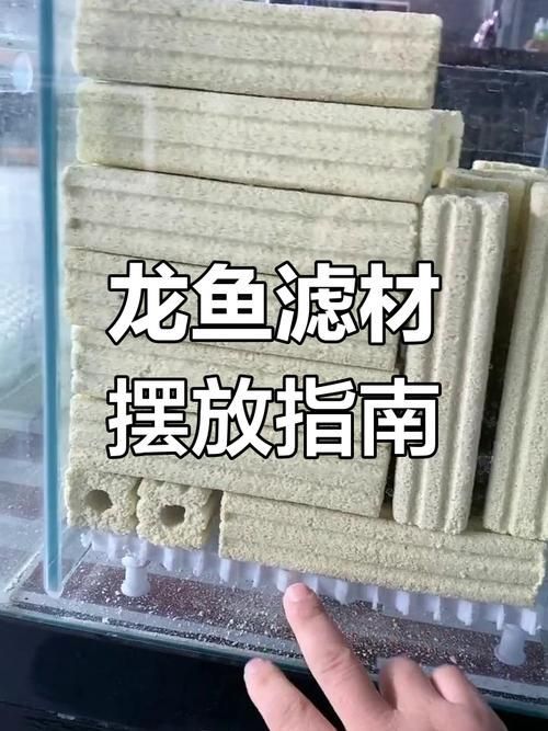 龍魚過濾系統維護技巧