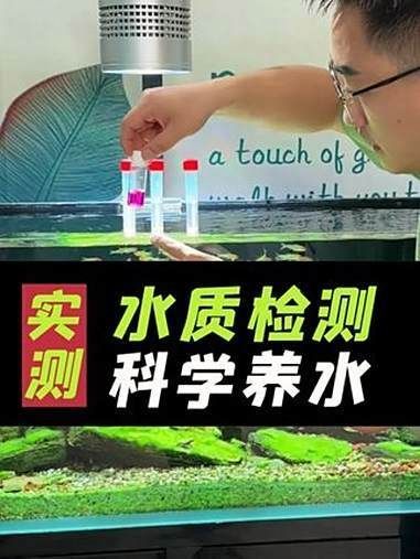 龍魚過濾系統維護技巧