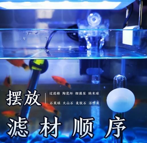 龍魚過濾系統維護技巧