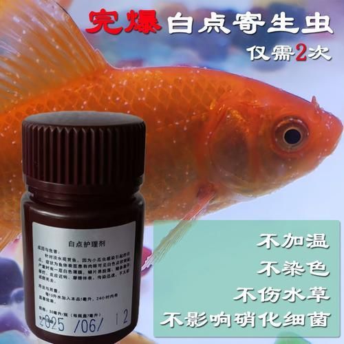 如何判斷觀賞魚是否感染了寄生蟲?,如何判斷觀賞魚是否感染了寄生蟲 龍魚百科 第4張 如何判斷觀賞魚是否感染了寄生蟲?,如何判斷觀賞魚是否感染了寄生蟲 如何判斷觀賞魚是否感染了寄生蟲?,如何判斷觀賞魚是否感染了寄生蟲 龍魚百科 第4張