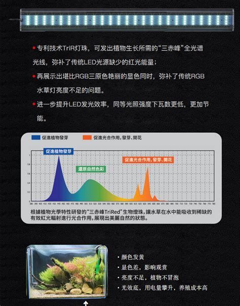 推薦幾款適合龍魚的夜燈品牌，適合龍魚使用的夜燈品牌推薦