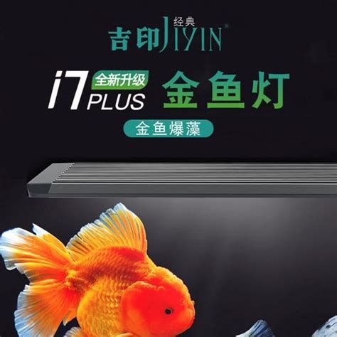 推薦幾款適合龍魚的夜燈品牌，適合龍魚使用的夜燈品牌推薦