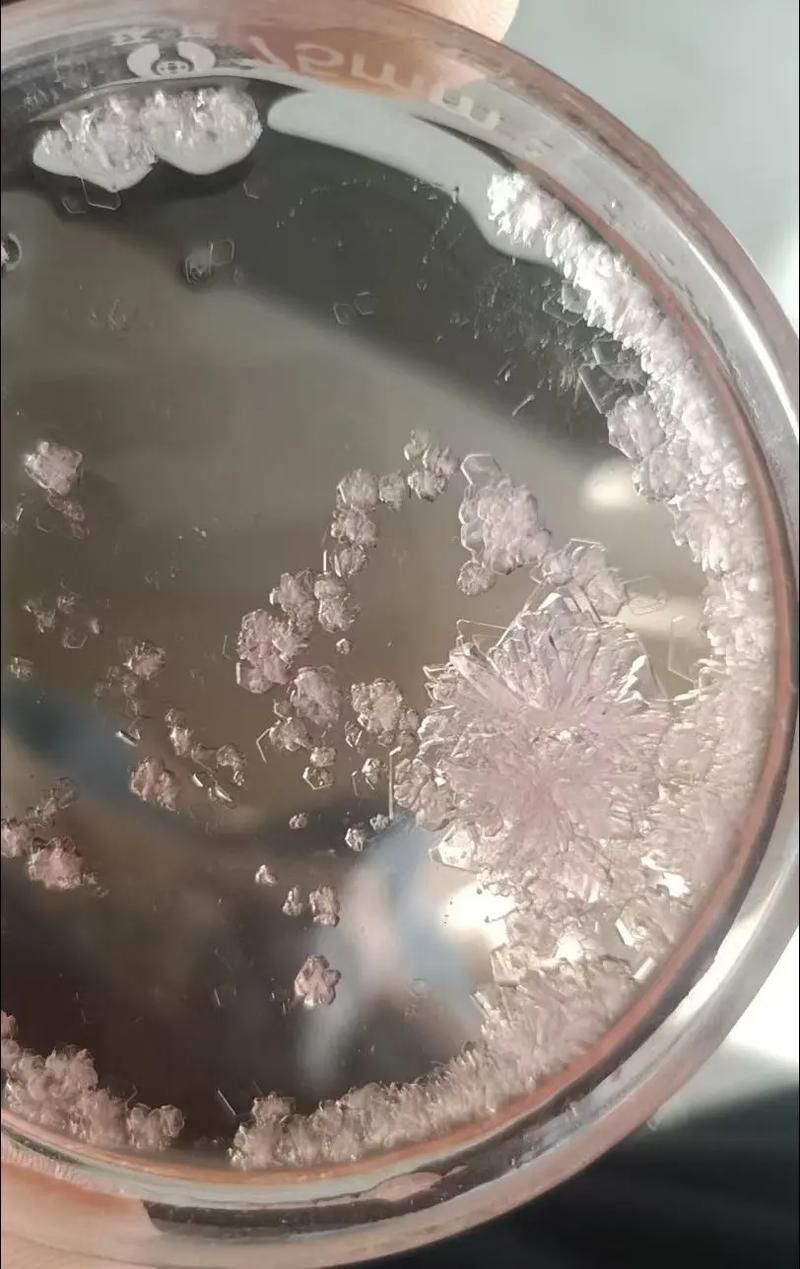如何判斷水族專用鹽的質量好壞 如何判斷水族專用鹽的質量好壞 龍魚百科 第1張