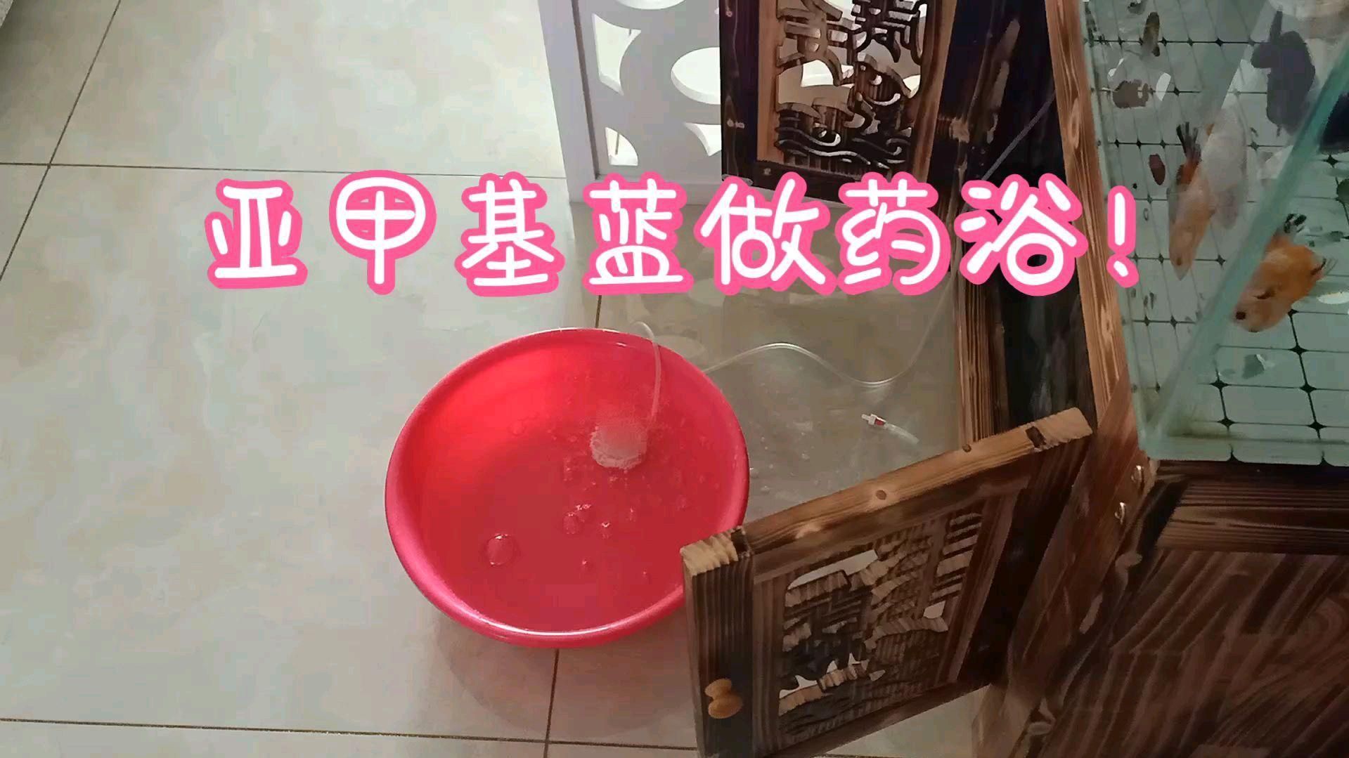 亞甲基藍治療真菌病需要多久見效，亞甲基藍（methyleneblue）在人類真菌病治療中的應用 亞甲基藍治療真菌病需要多久見效，亞甲基藍（methyleneblue）在人類真菌病治療中的應用 龍魚百科 第6張