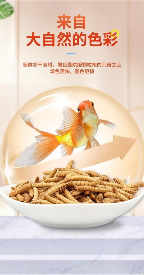 有哪些品牌龍魚魚糧性價比高？，性價比高的龍魚魚糧品牌的龍魚魚糧性價比高的品牌