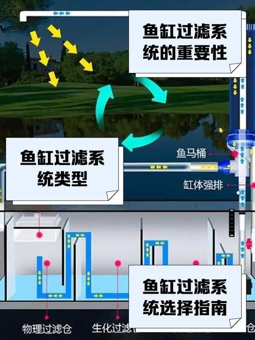 給我一些龍魚飼養(yǎng)的實(shí)用技巧，龍魚飼養(yǎng)實(shí)用技巧