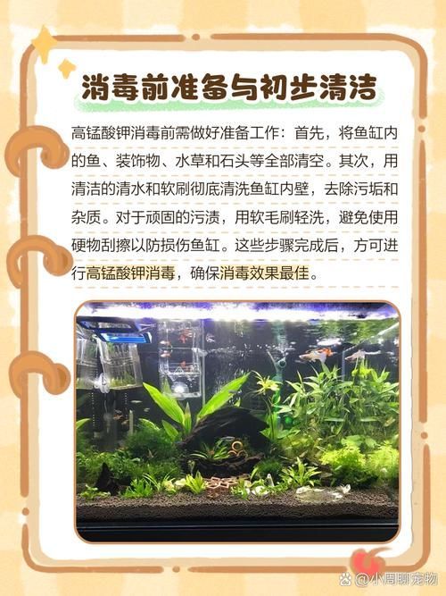 如何預(yù)防魚交叉感染，arxiv論文助手arxiv論文助手（arxiv論文助手）