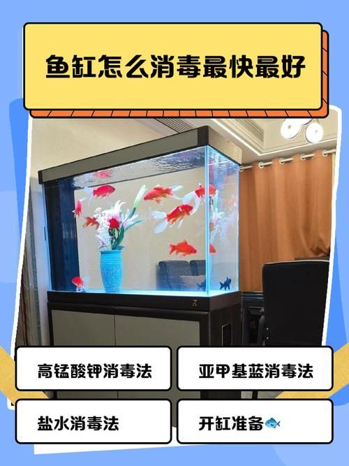 如何預(yù)防魚交叉感染，arxiv論文助手arxiv論文助手（arxiv論文助手）