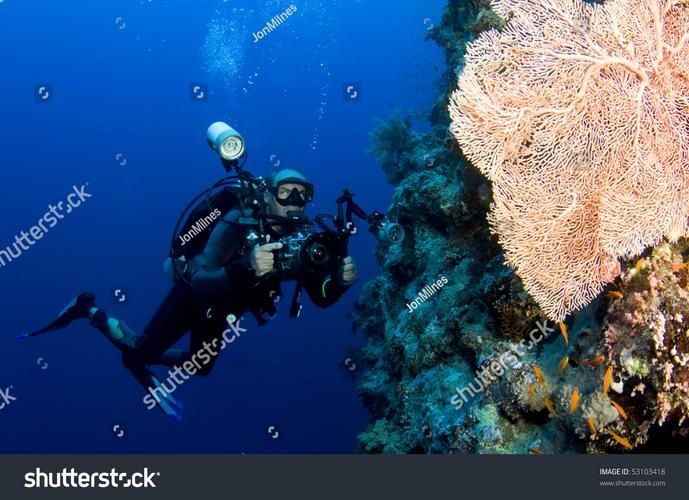 推薦一些龍魚攝影的獲獎作品，國際攝影賽事中的龍魚攝影作品