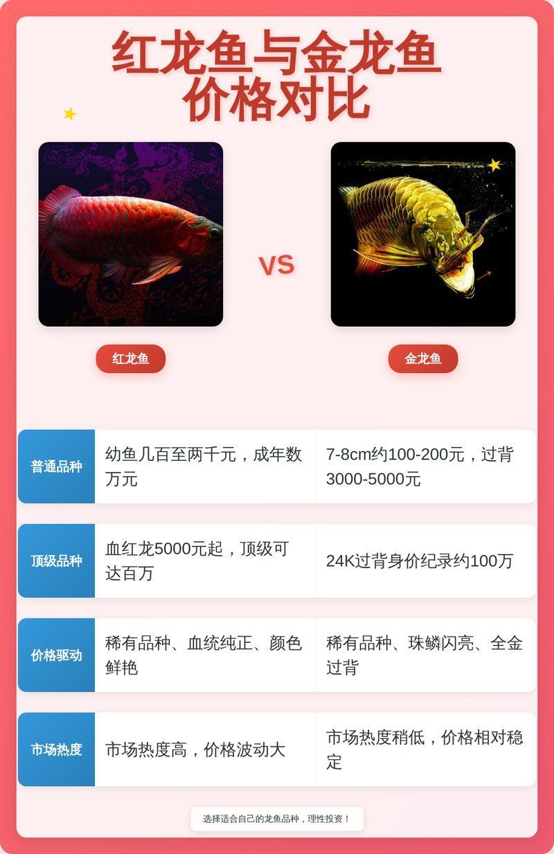 金龍魚中哪個品種最貴，金頭過背金龍魚哪個品種最貴金頭過背金龍魚價格揭秘