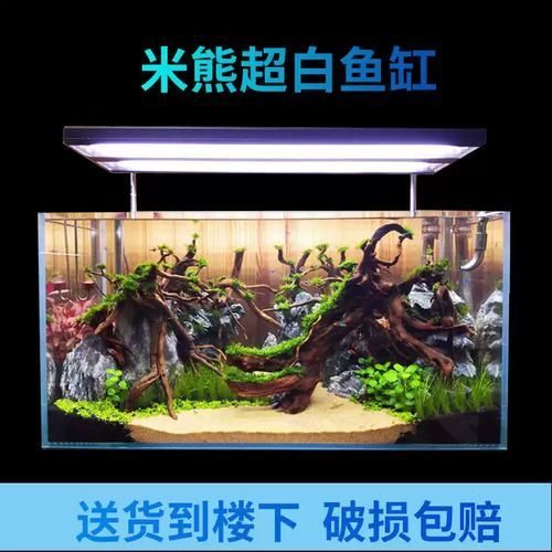 祥龍魚場推薦哪些魚缸品牌？，祥龍魚場推薦哪些品牌